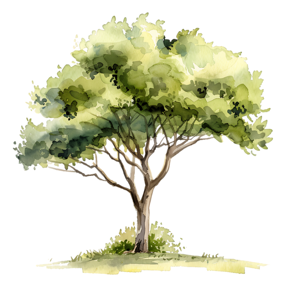 Watercolor Tree